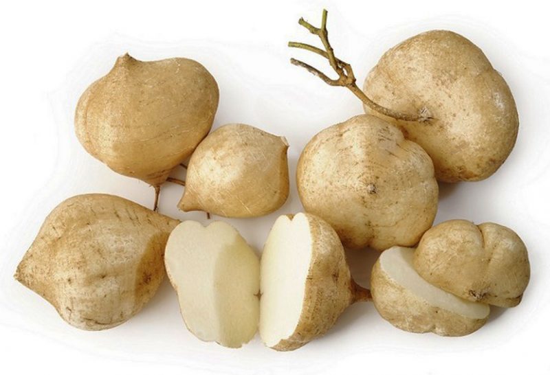 Tak Hanya Menyegarkan, Bengkoang Punya Segudang Manfaat bagi Kesehatan Wanita